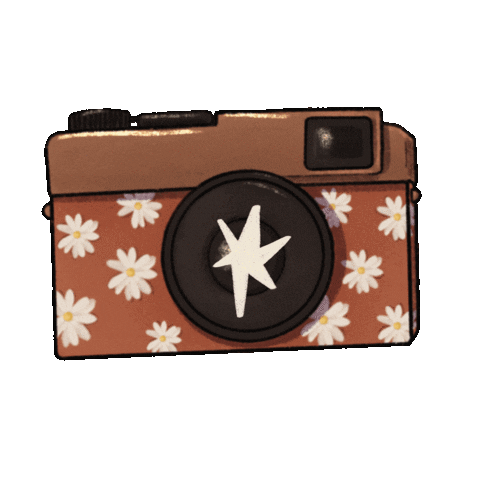 Camera Sticker