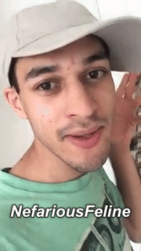 rawr24  GIF
