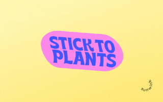 Stick To Plants GIF by Sunwink