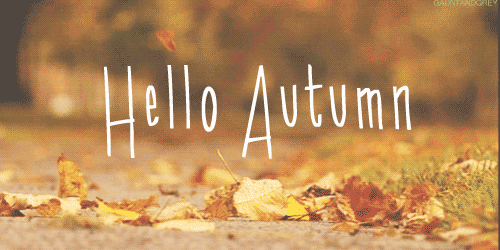 With summer coming to a close what do you have planned for the autumn
