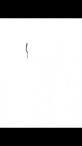 Animation GIF