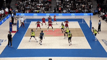 Boom Love GIF by Volleyball World