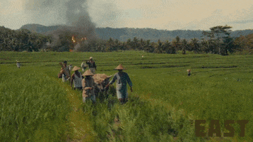 The East Fight GIF by Magnolia Pictures