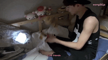 Exo GIF
