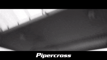 Car Tuning GIF by Pipercross Deutschland