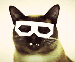 200.gif?cid=fc005b08433bb3ab8470ec604d134f625b5cdce5ee7e6327&rid=200.gif&ct=g