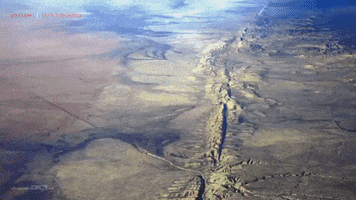 benitabodoque7gmailcom  GIF