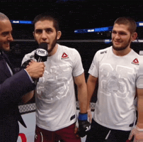 Fight Wanna GIF