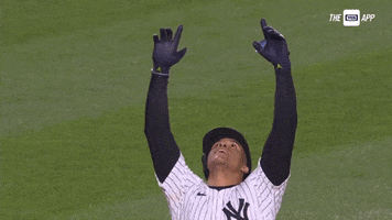 Lets Go Celebration GIF by YES Network