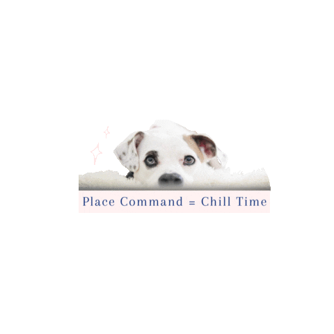 Walking Dog Training Sticker