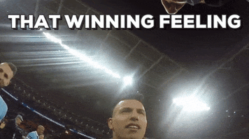 Winning Premier League GIF by theFC