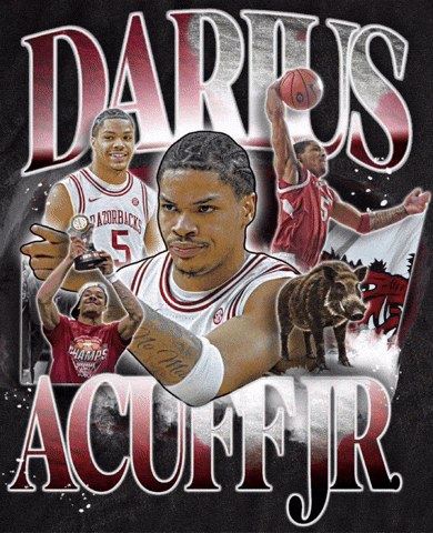Arkansas Razorbacks Basketball GIF