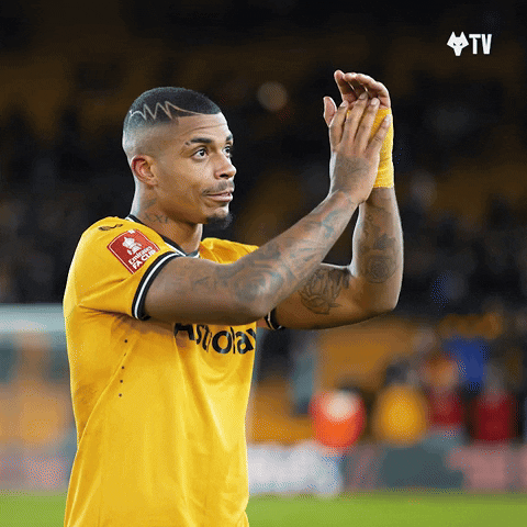 Premier League Thank You GIF by Wolves