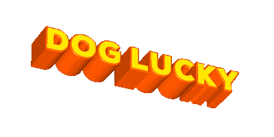 Dog Lucky Sticker
