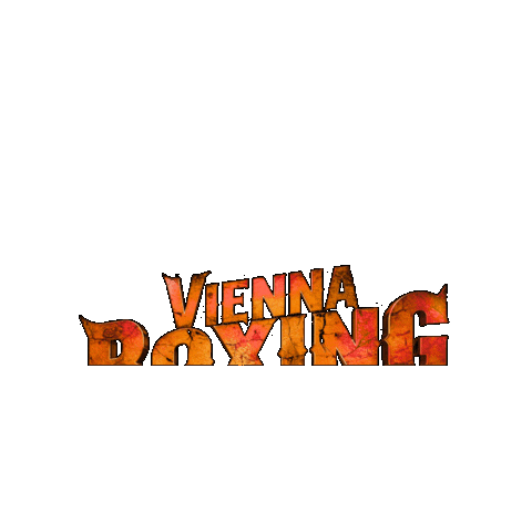 Boxing Champion Sticker by GARAGEBOXING