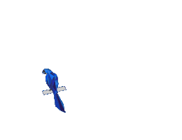 Parrot Media Werbeagentur Sticker