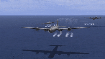 Wt GIF