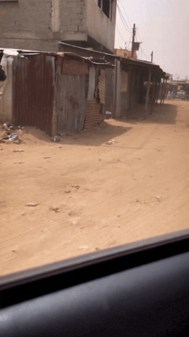 Machine Gun Cat GIF
