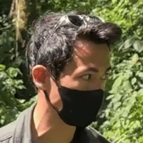 Shocked GIF