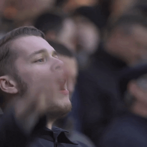 The Lions Fans GIF by MillwallFC