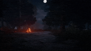 Campfire GIF