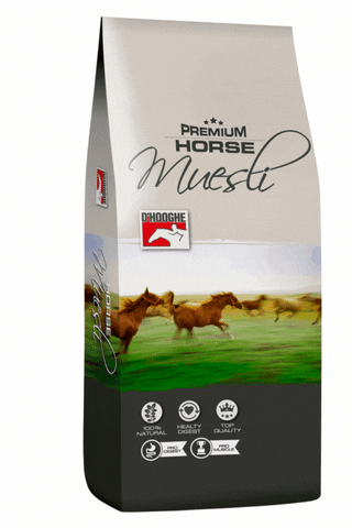 Dhooghevoeding horse premium paard dhooghe GIF