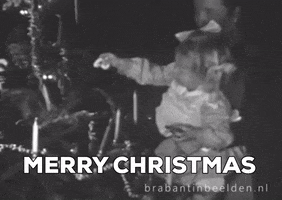 Merry Christmas GIF by Brabant in Beelden