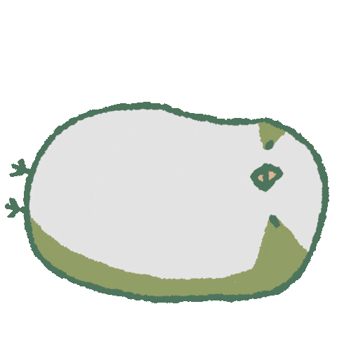 Parrot No Sticker