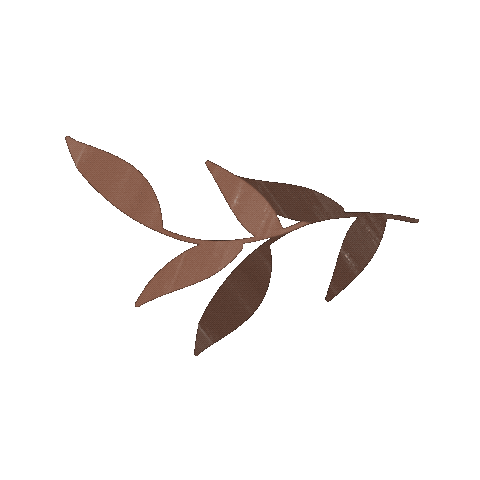 Leaf Sticker