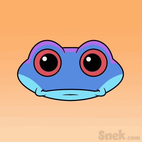 Stare What GIF by Snek