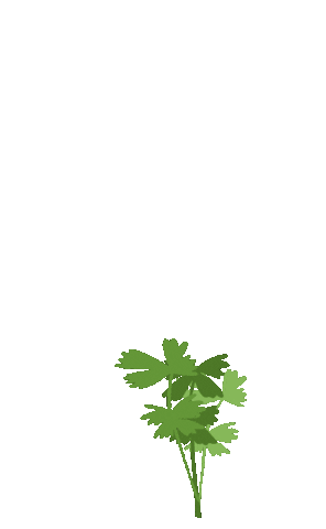 Plant Sticker