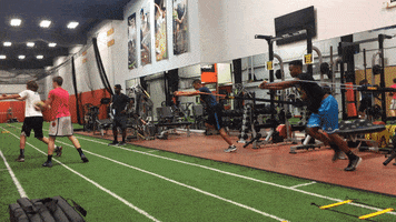 anarodriguezbalp  GIF