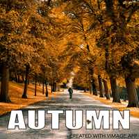 fall forest GIF by vimage app
