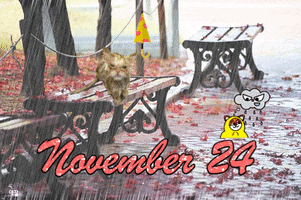 november 24 calendar GIF by Stephanie