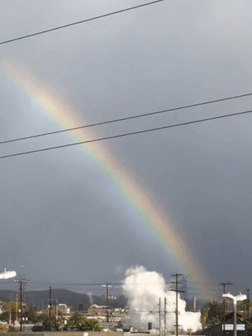 Rainbow GIF by Justin