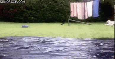 200.gif