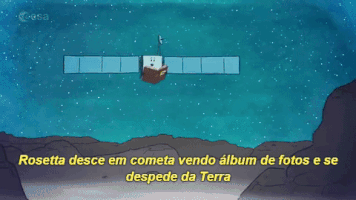 fernandocymbalukcouri  GIF