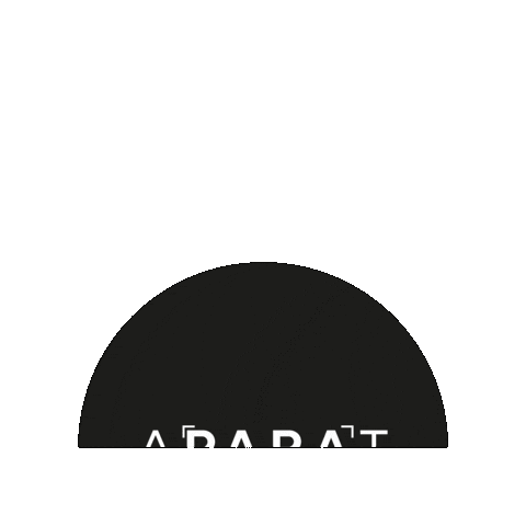Aphoto Sticker by Adrian Paszul