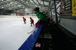 Hockey GIF