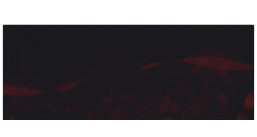 Sticker by Brasil off shore