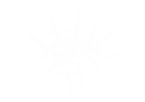 Artist Sticker