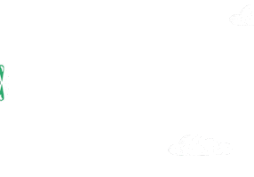 Aviao Sticker by Primecrops