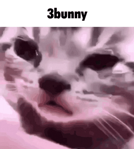 Cat GIF
