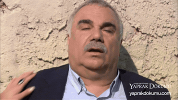 Beylerbeyi Bayilma GIF by Yaprak Dökümü