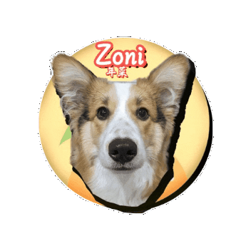 Animated Sticker