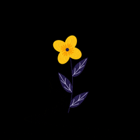 Spring Flower GIF