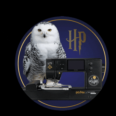 Lumos GIF by BERNINA_BEDA