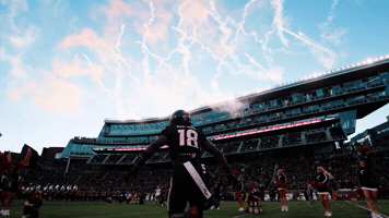 Nippert Stadium GIF by Cincinnati Bearcats