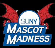 Peek-A-Boo Mascot GIF by SUNY Oneonta