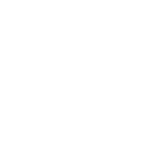 RiteChoice Dog Agility Sticker